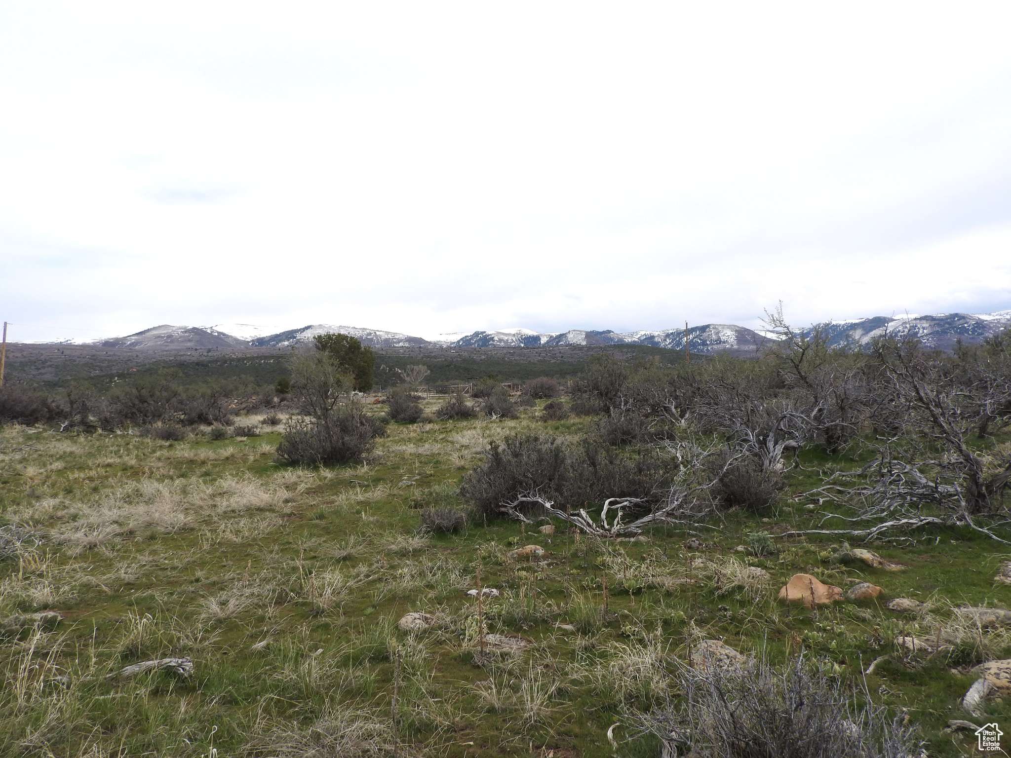Mt Pleasant, UT 84647