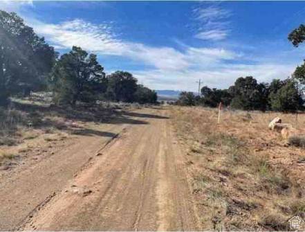 Fruitland, UT 84027,#7