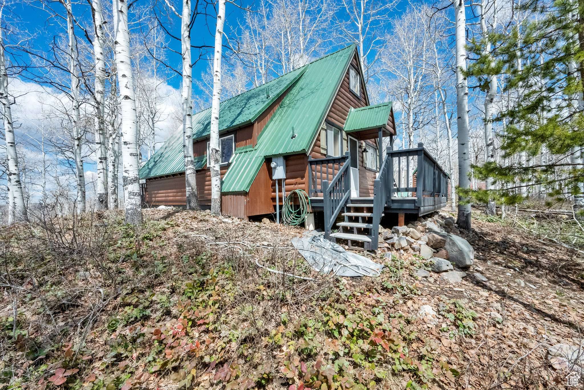 Heber City, UT 84032,11233 MAPLE DR #17A