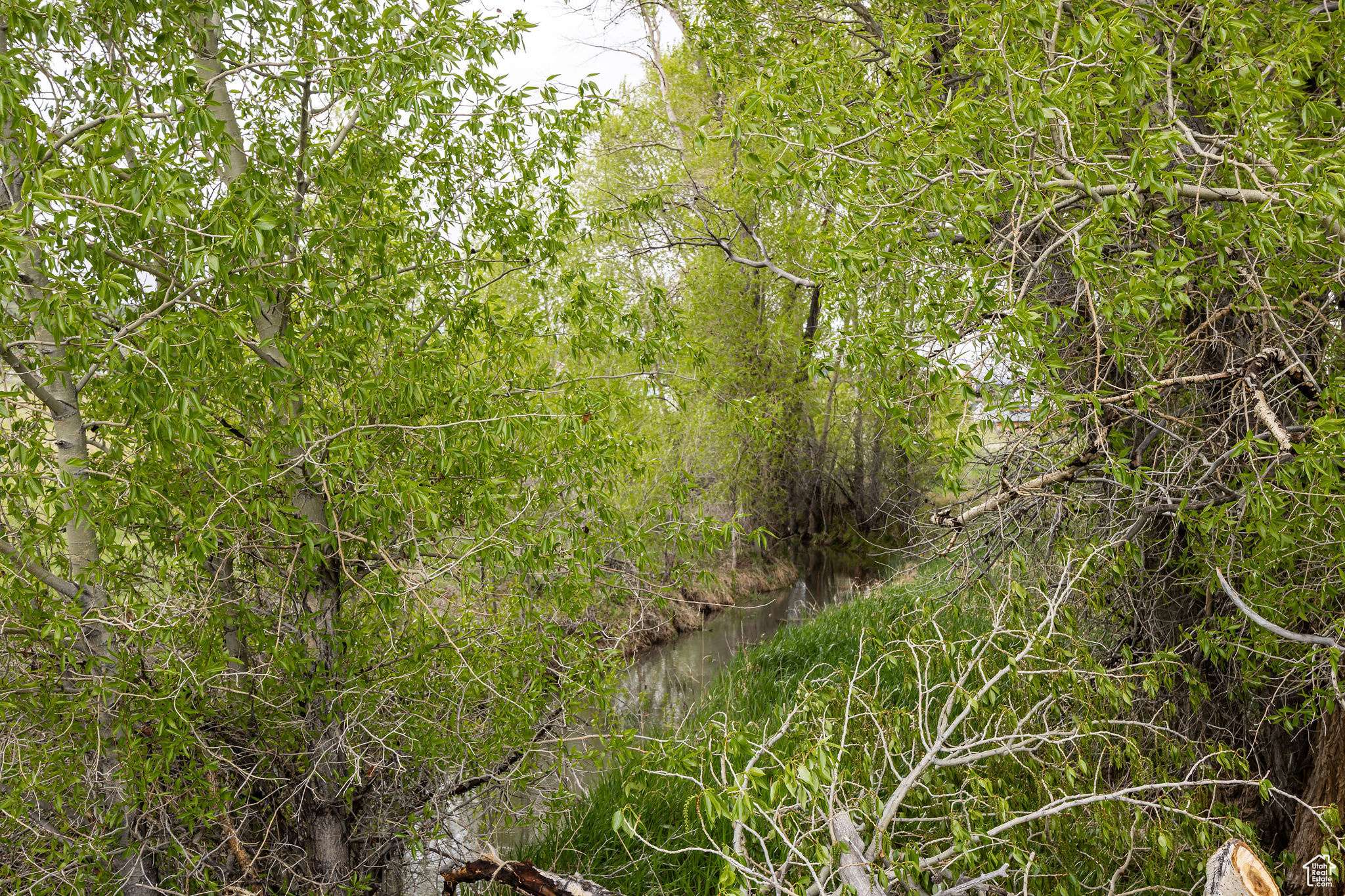 Garden City, UT 84028,193 E CLUBHOUSE DR #41