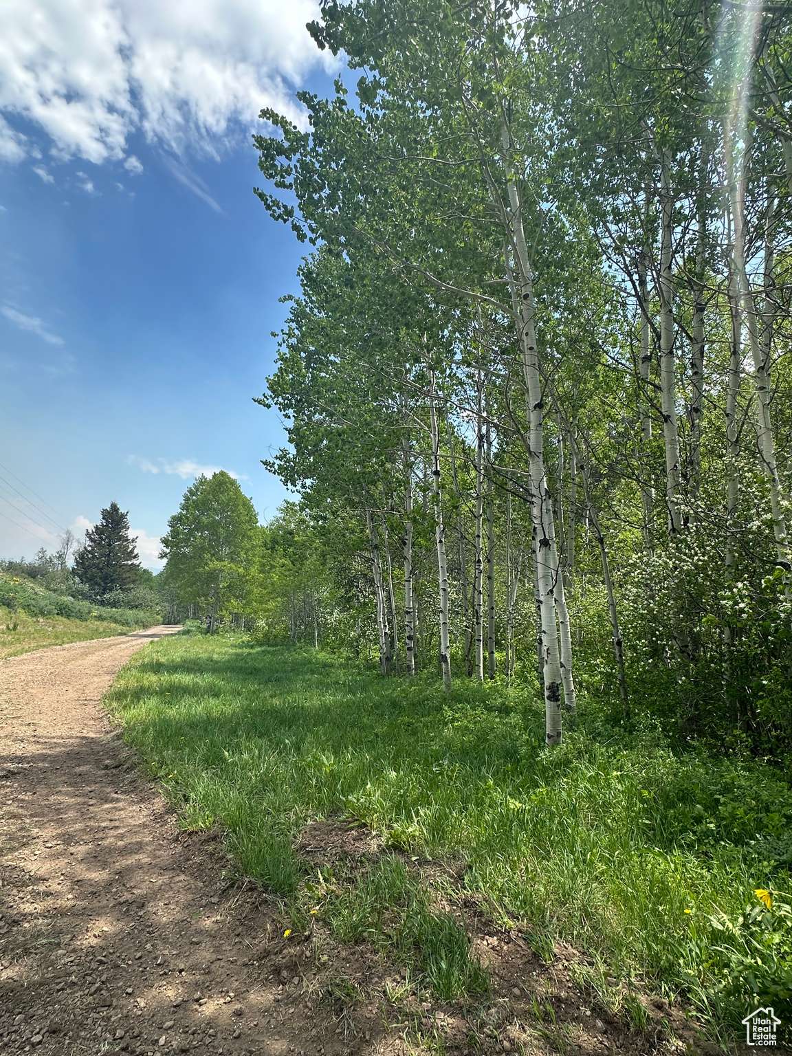 Montpelier, ID 83254,#220270