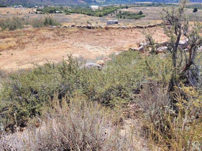 Huntsville, UT 84317,13080 E OAK RD #565