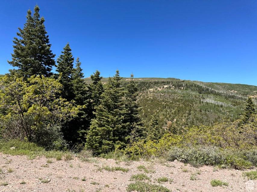 Summit, UT 84772,4280 S DEEP DR #29