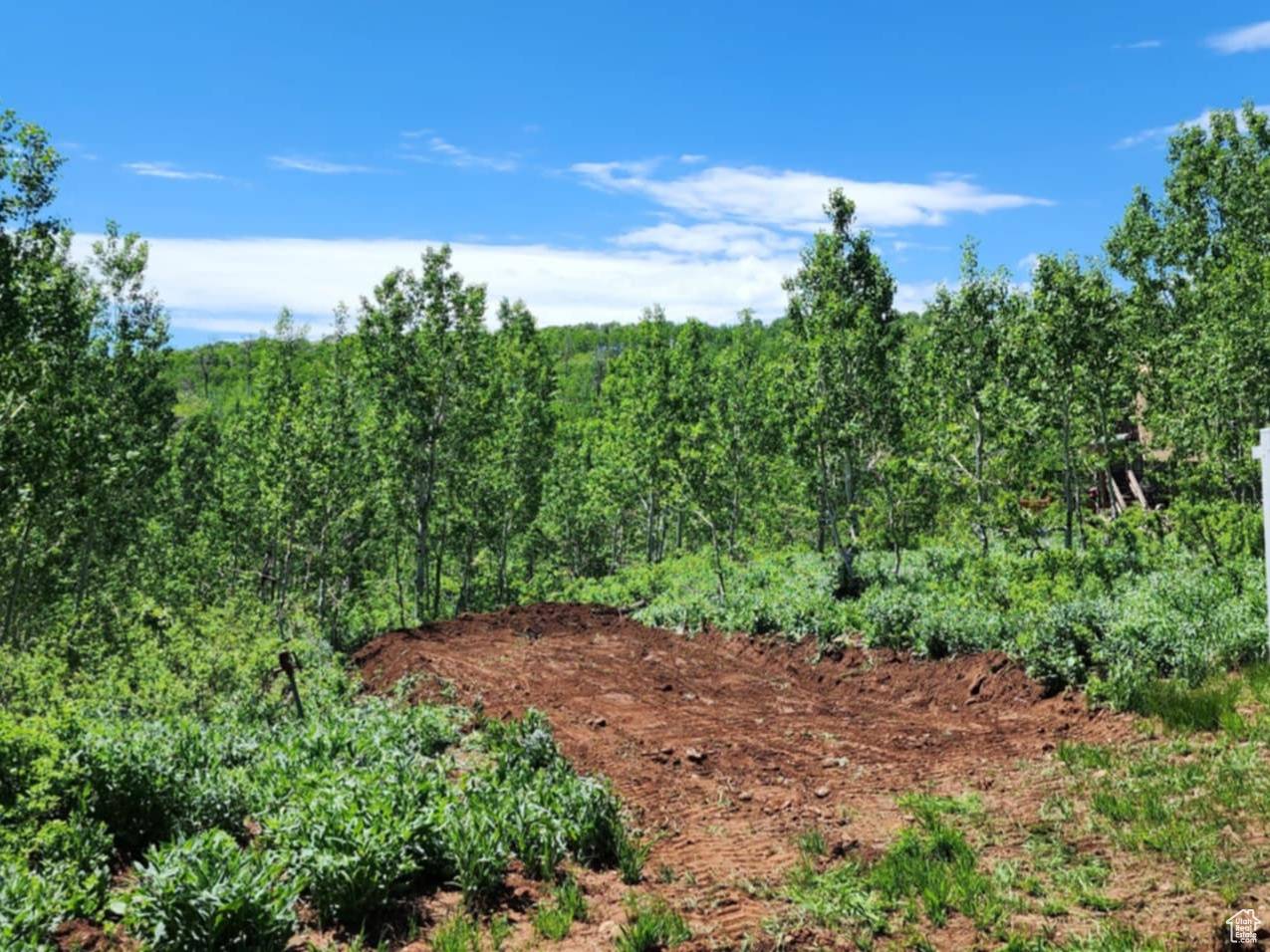 Huntsville, UT 84317,11857 FALCON PT #H20