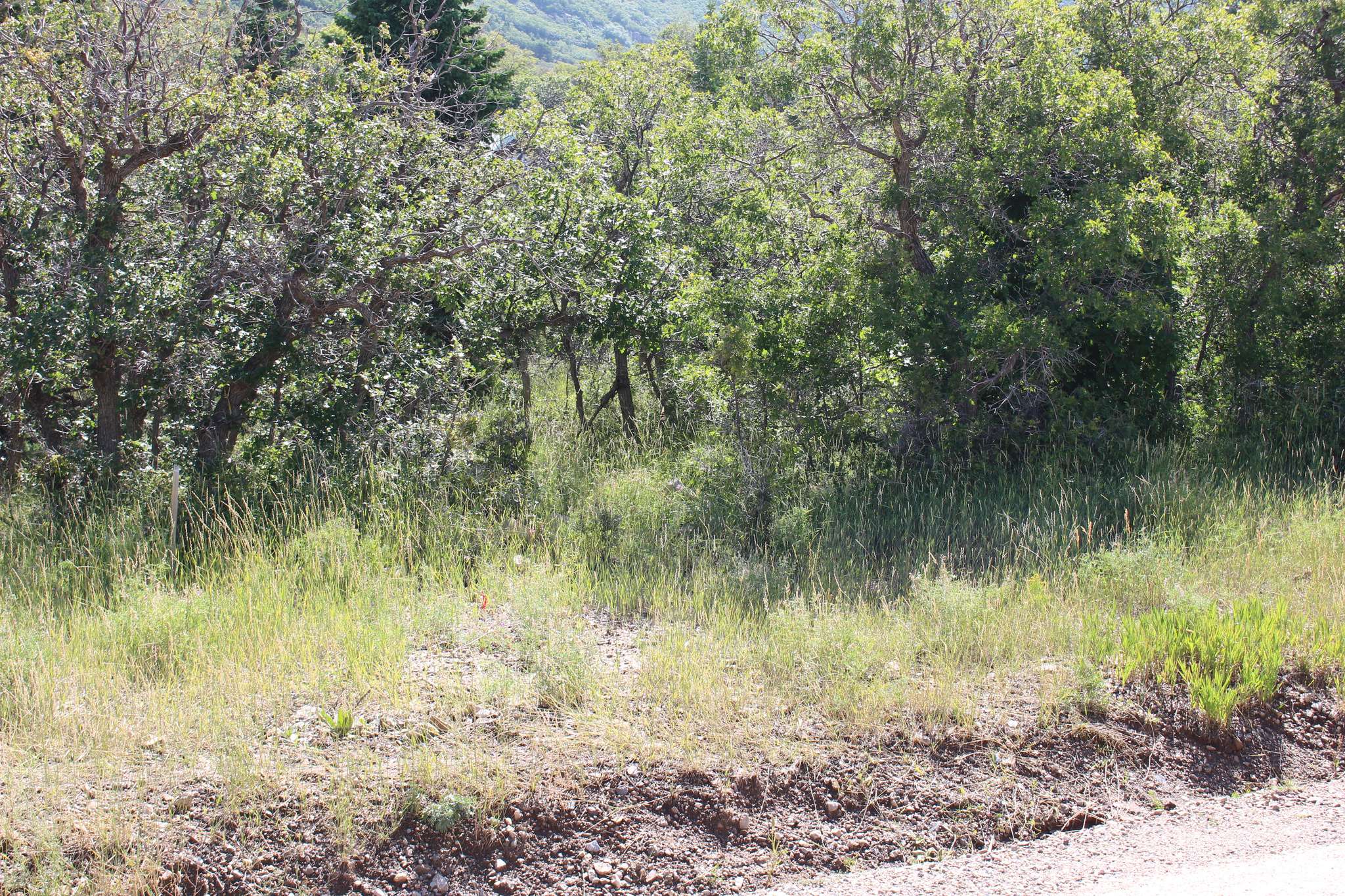Cedar City, UT 84720,2267 S HIGH MOUNTAIN DR