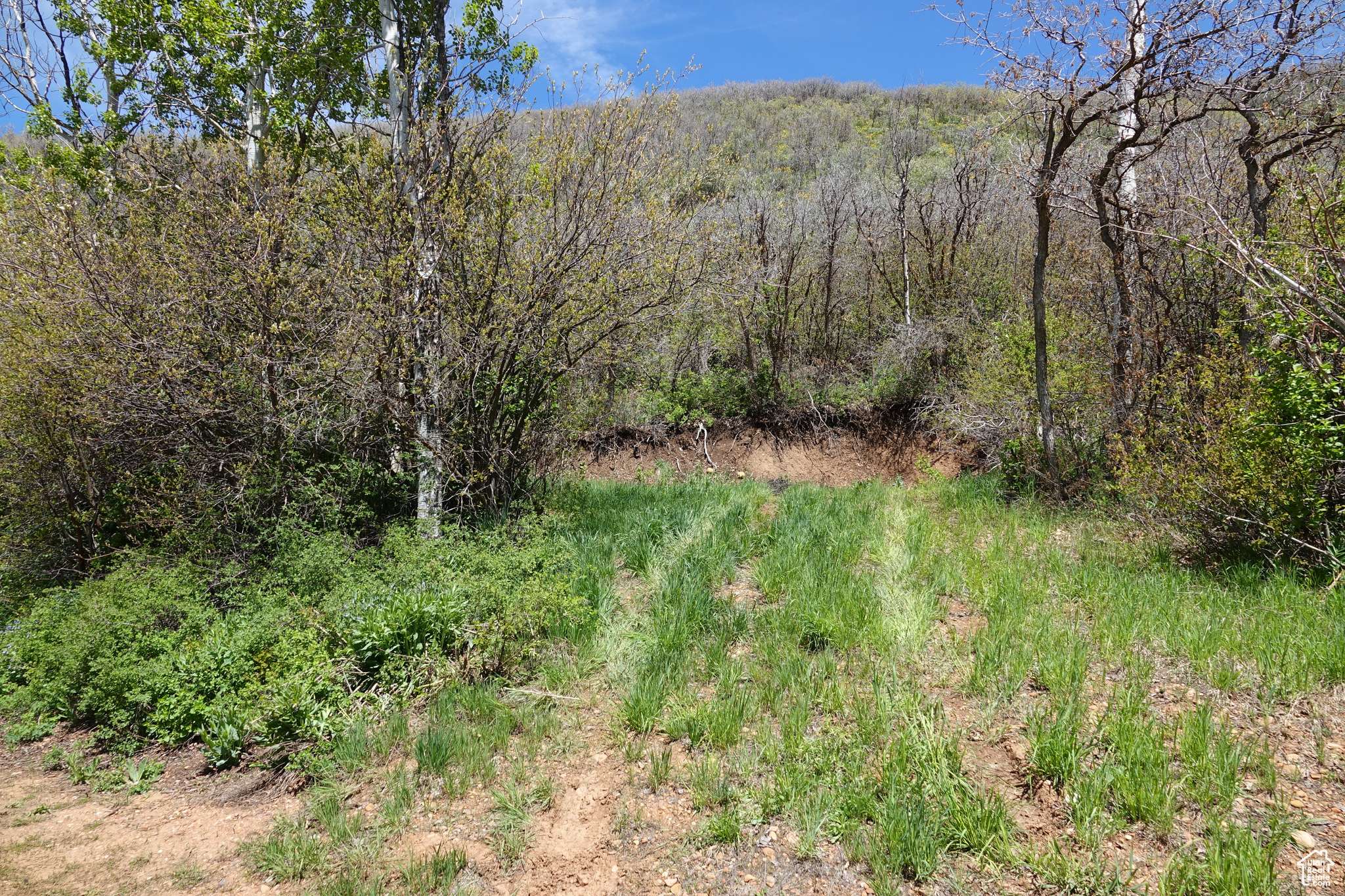 Huntsville, UT 84317,558 MILL RD #136