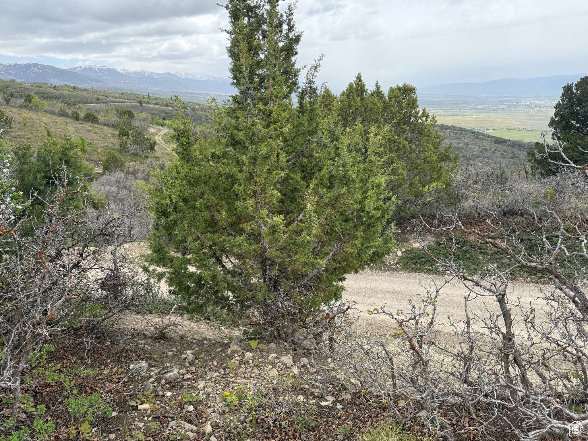 Mt Pleasant, UT 84647,472 N SHORTCREEK DR #472