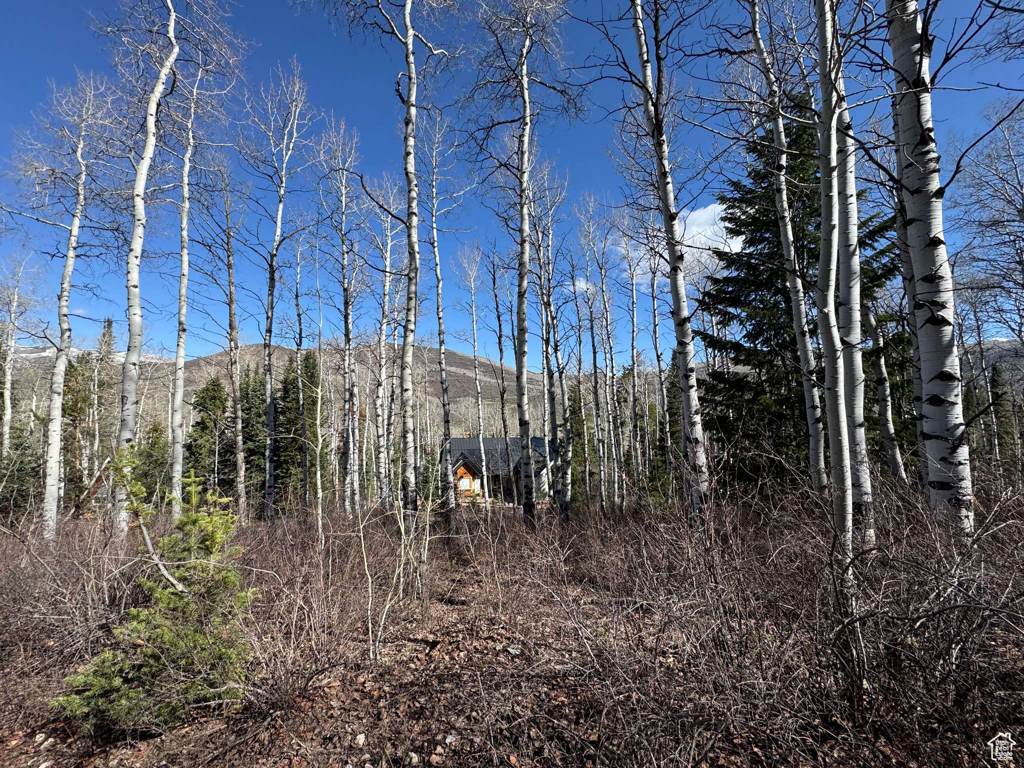 Oakley, UT 84055,662 RED FIR WAY #662