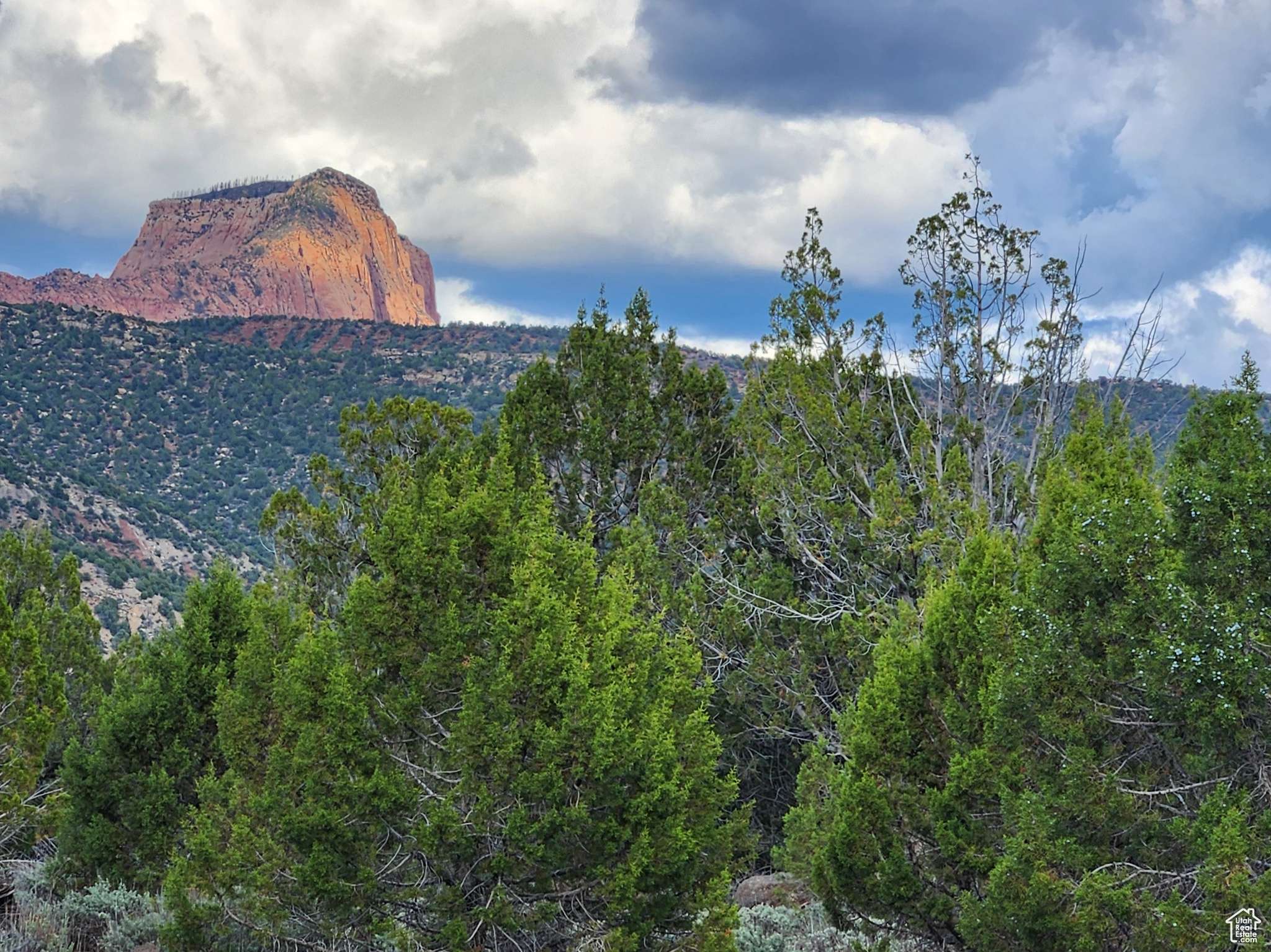 New Harmony, UT 84757,#313