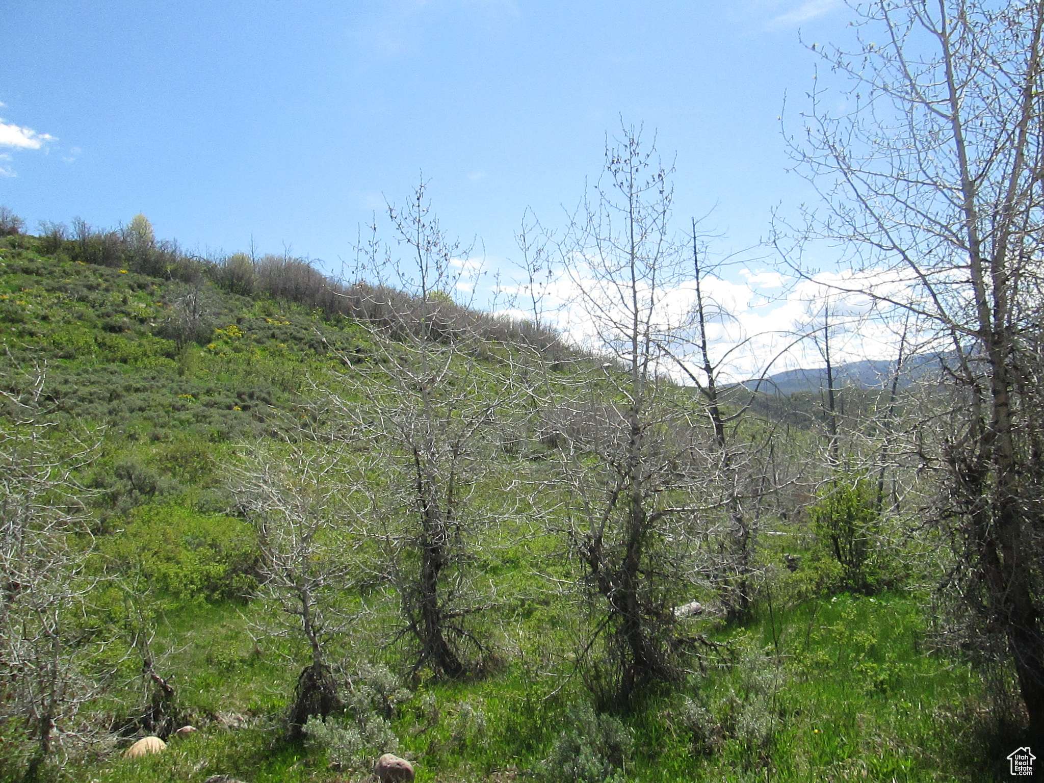 Huntsville, UT 84317,3258 N WATER CYN #679