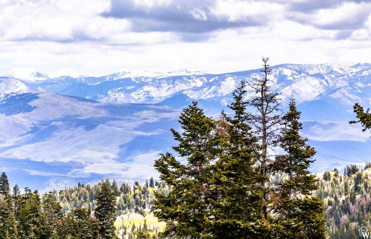 Wanship, UT 84017,1920 W ELK RD #78