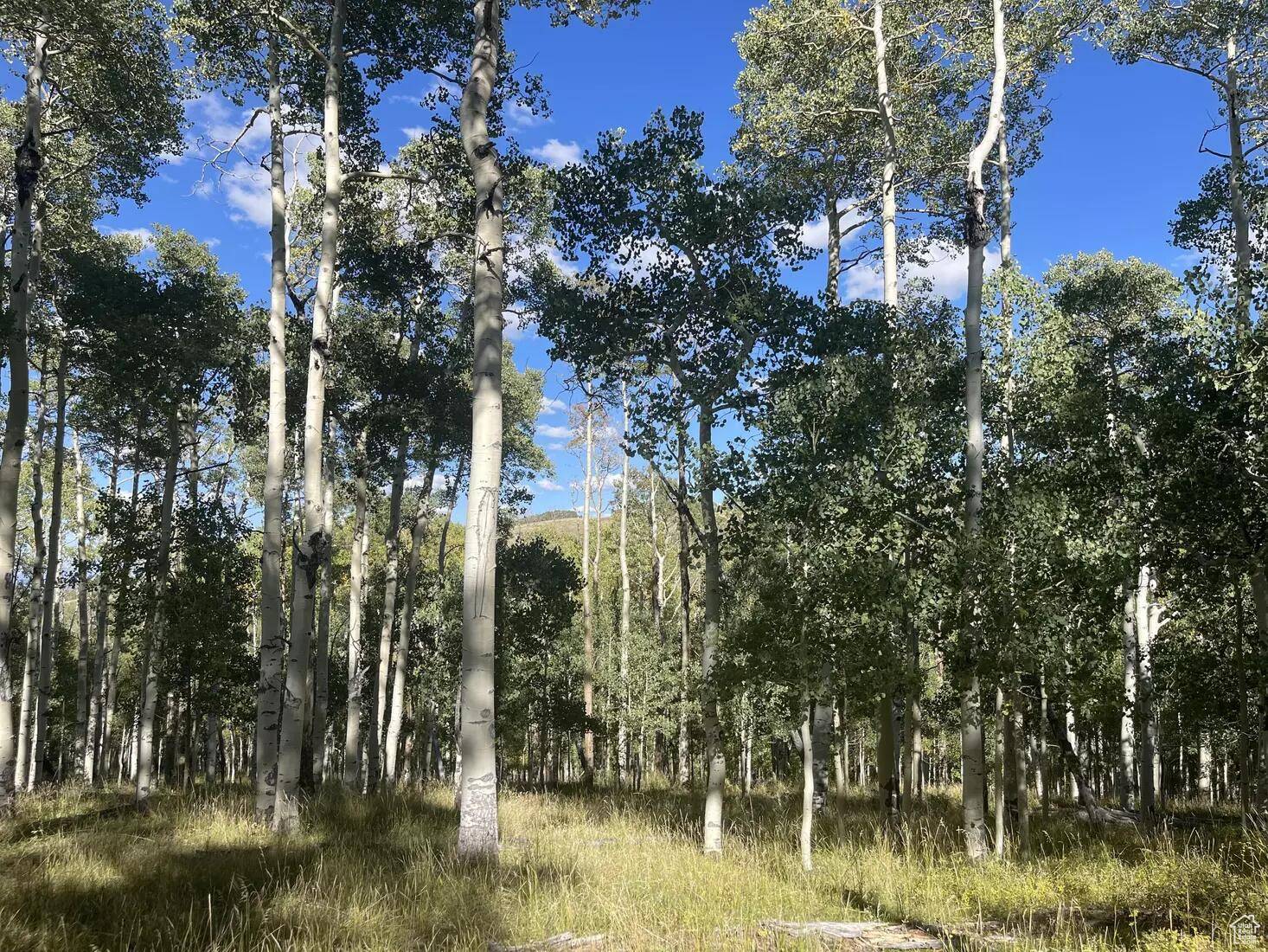 Brian Head, UT 84719,14 NAVAJO TRL #14