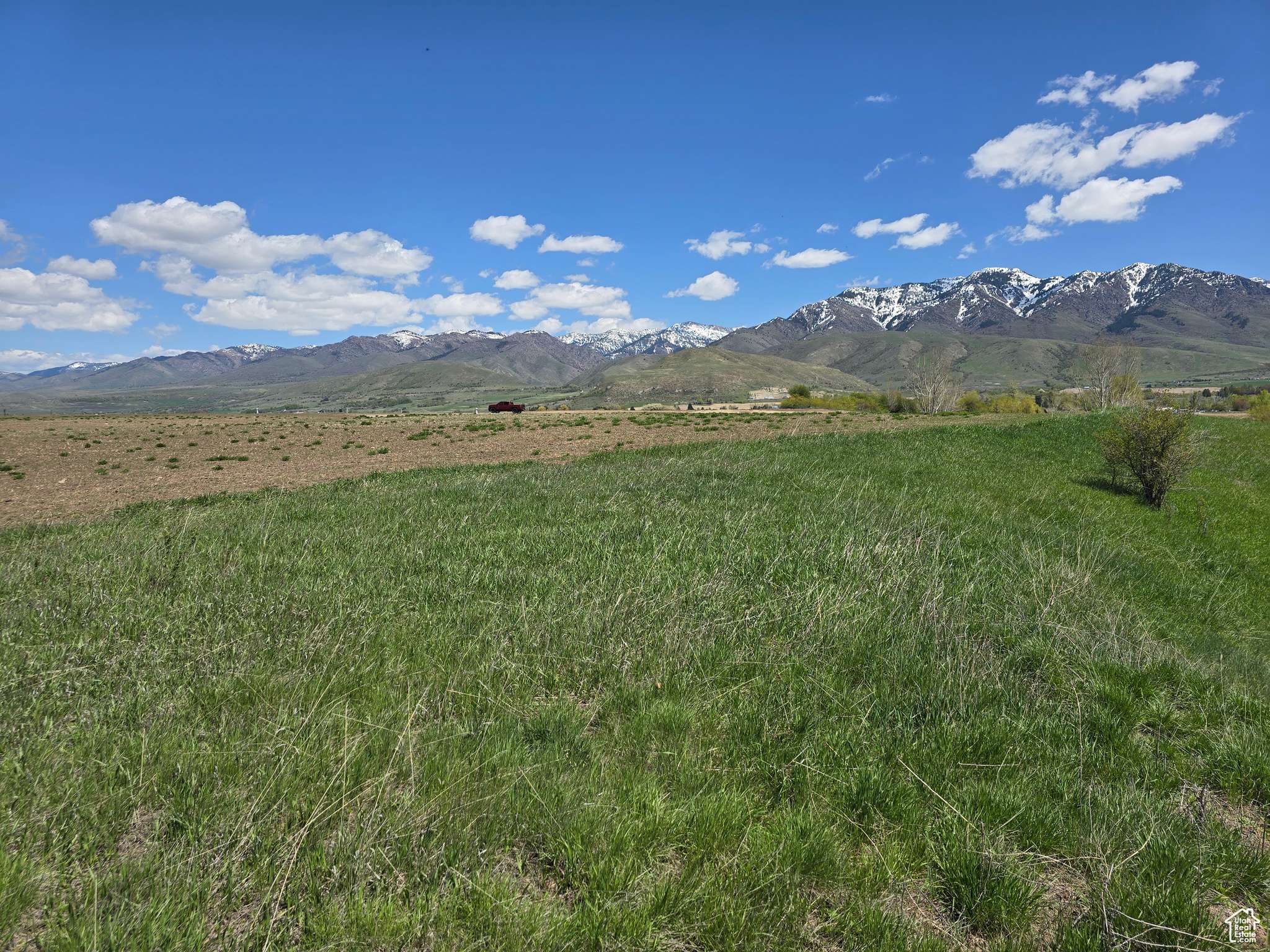 Cove, UT 84320,12455 N 525 E #1
