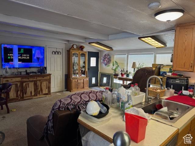 Manila, UT 84046,398 N 1ST E
