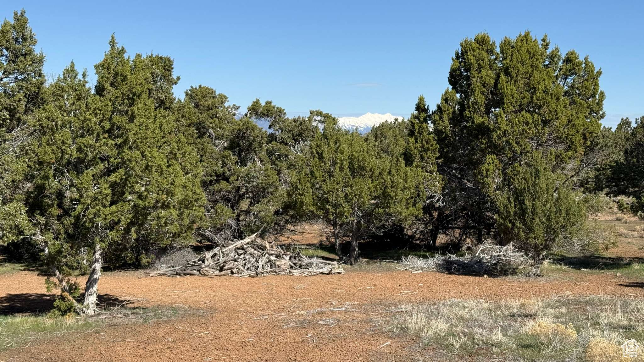 Spring City, UT 84662,#5