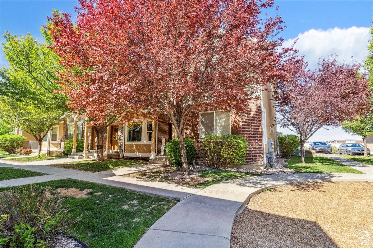 Pleasant View, UT 84414,255 W 2700 N #31
