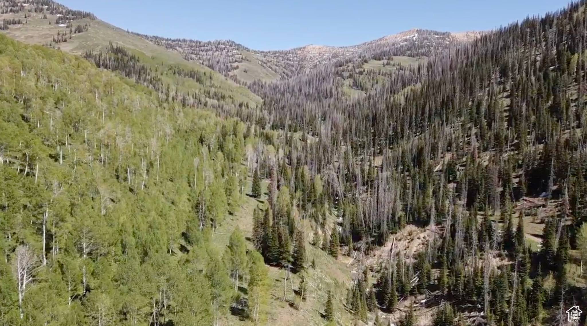 Mt Pleasant, UT 84647