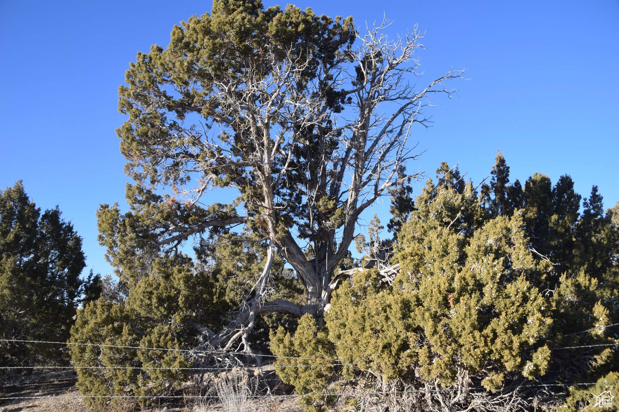 Nephi, UT 84648
