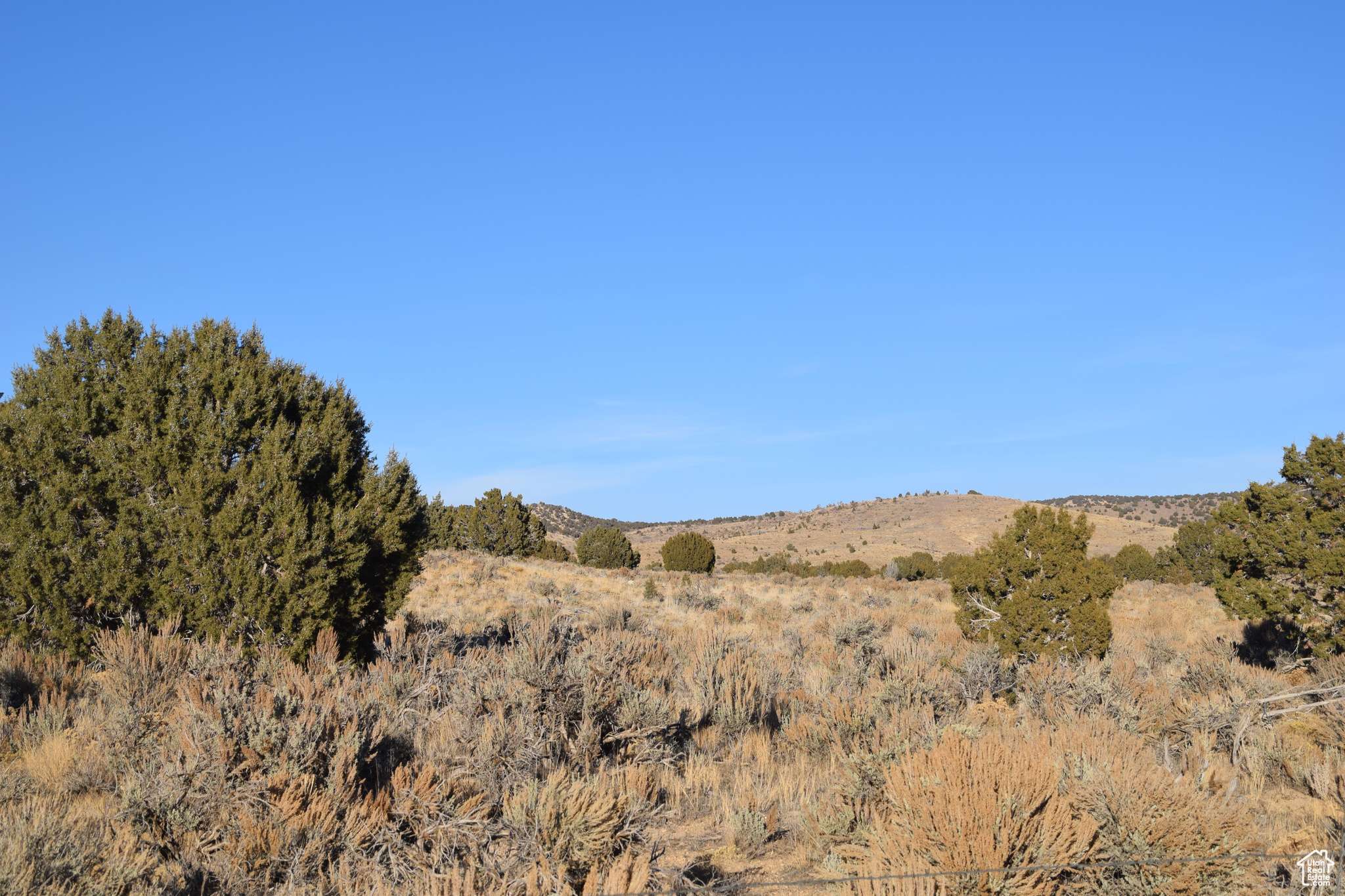 Nephi, UT 84648