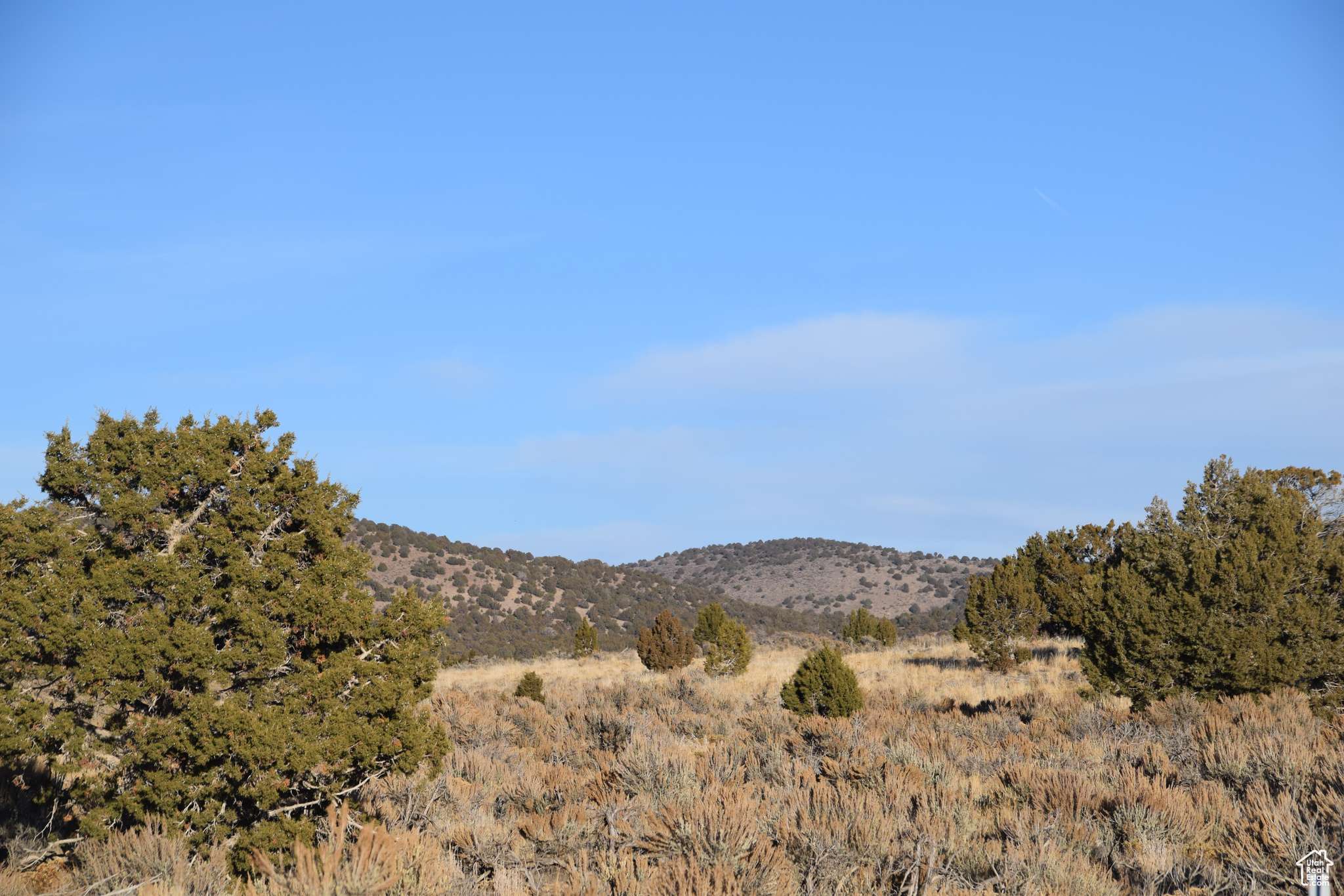 Nephi, UT 84648