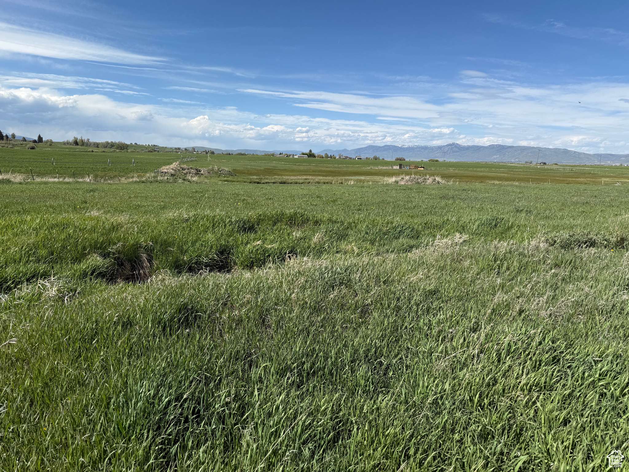 Bloomington, ID 83223,3 PAINTER LN #3