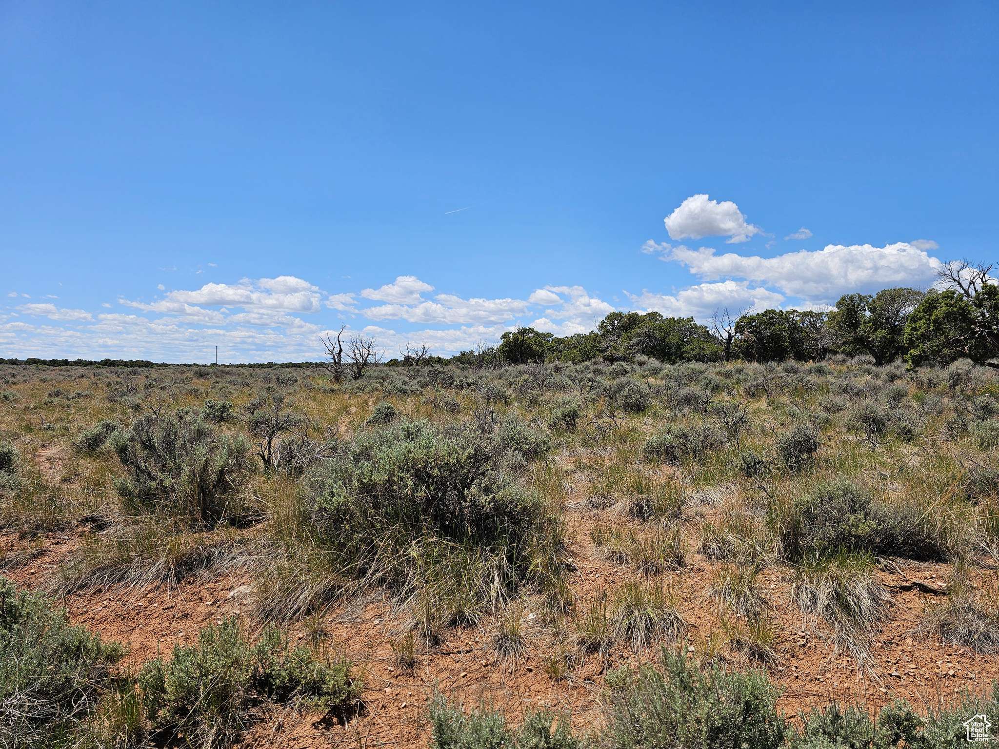 Duchesne, UT 84021,#23