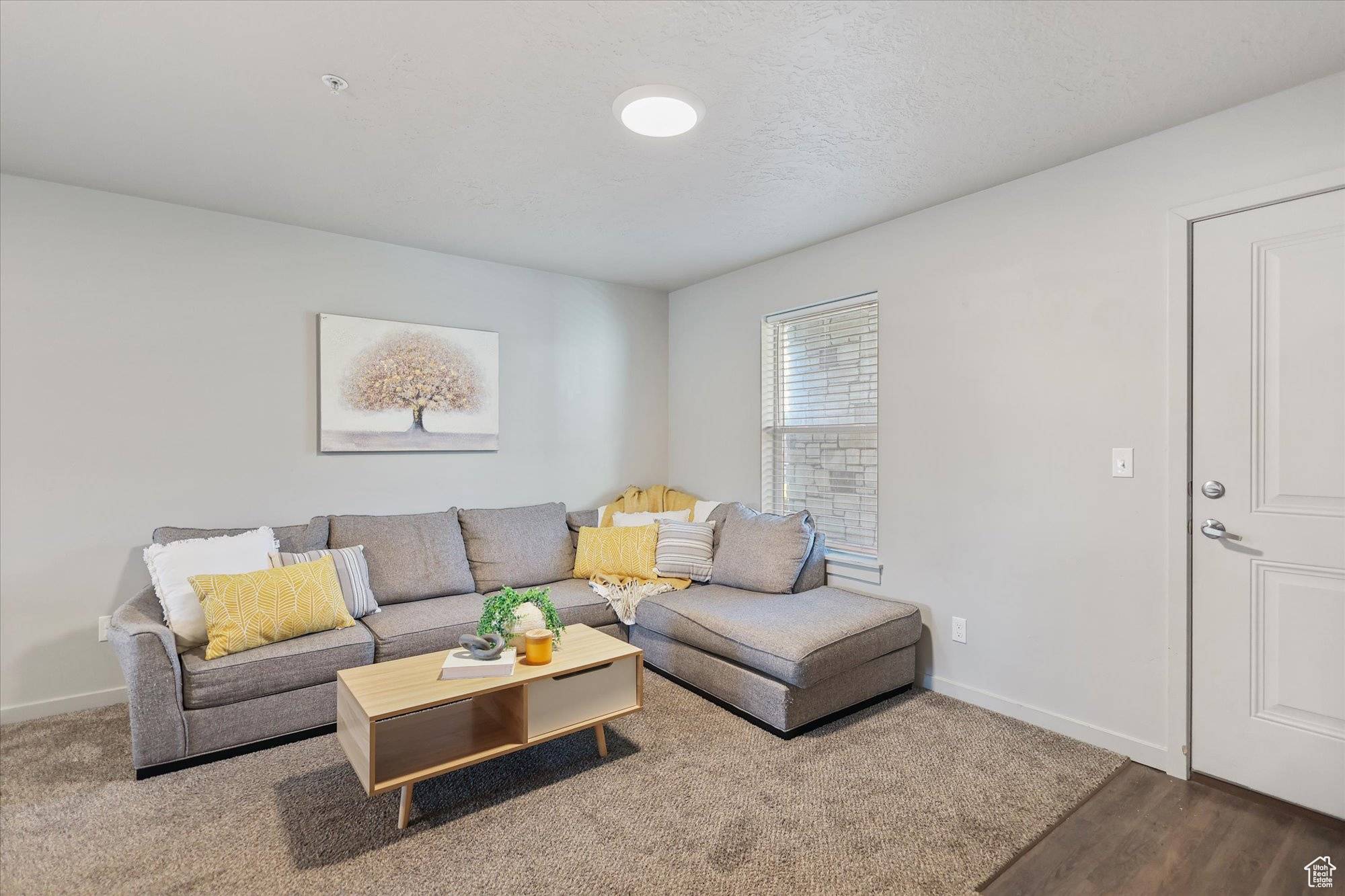 Springville, UT 84663,67 W 600 S #B204