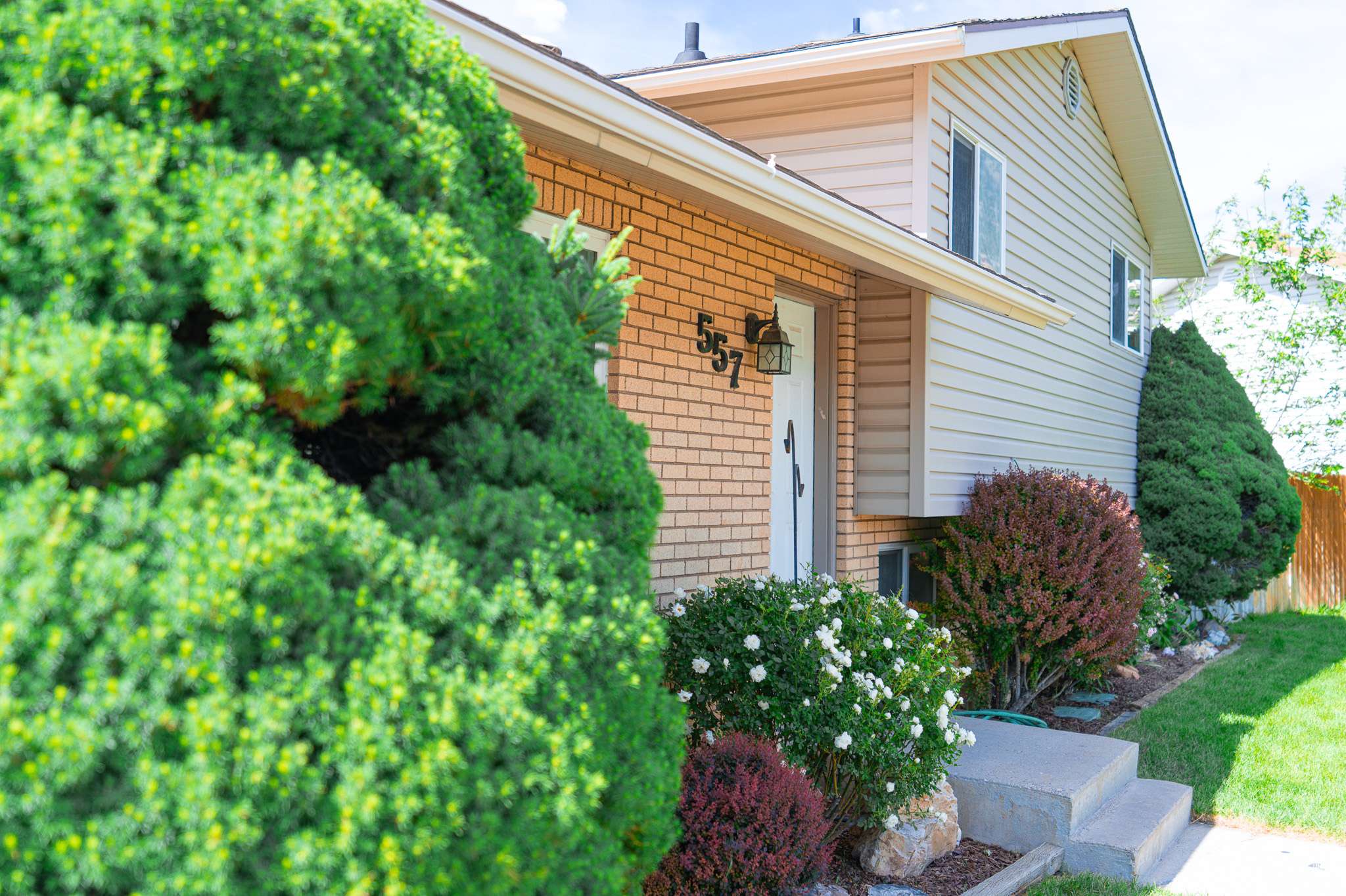 Orem, UT 84097,557 N 1160 E