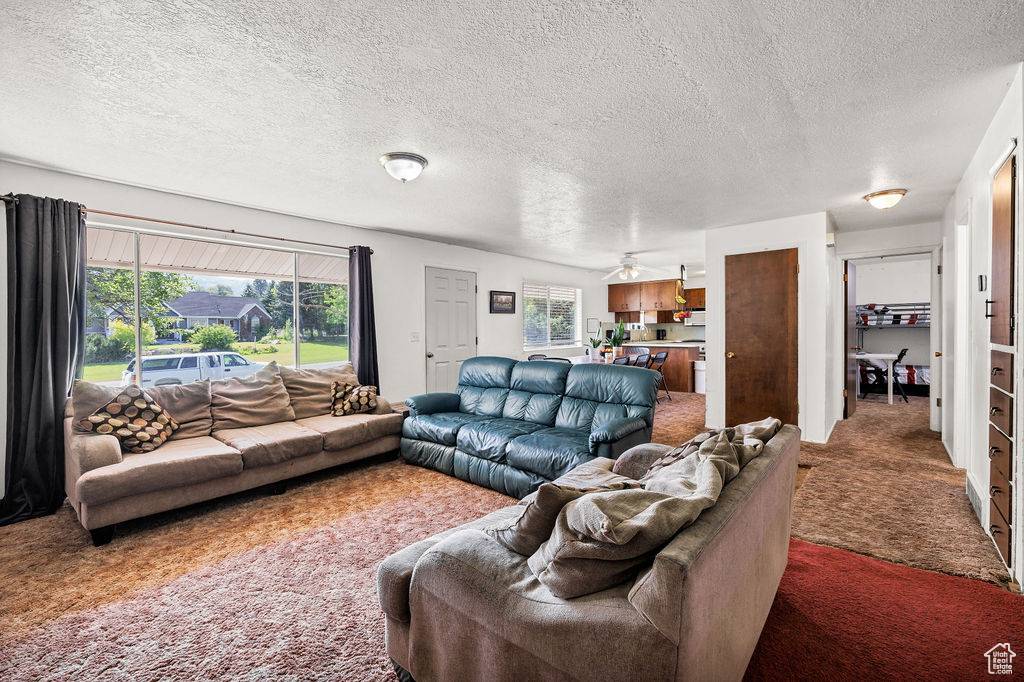 Paradise, UT 84328,8765 S 300 W