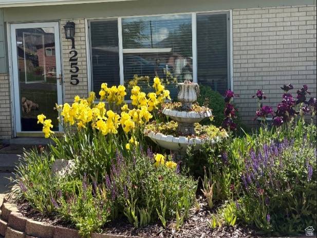 Riverdale, UT 84405,1255 W 5050 S