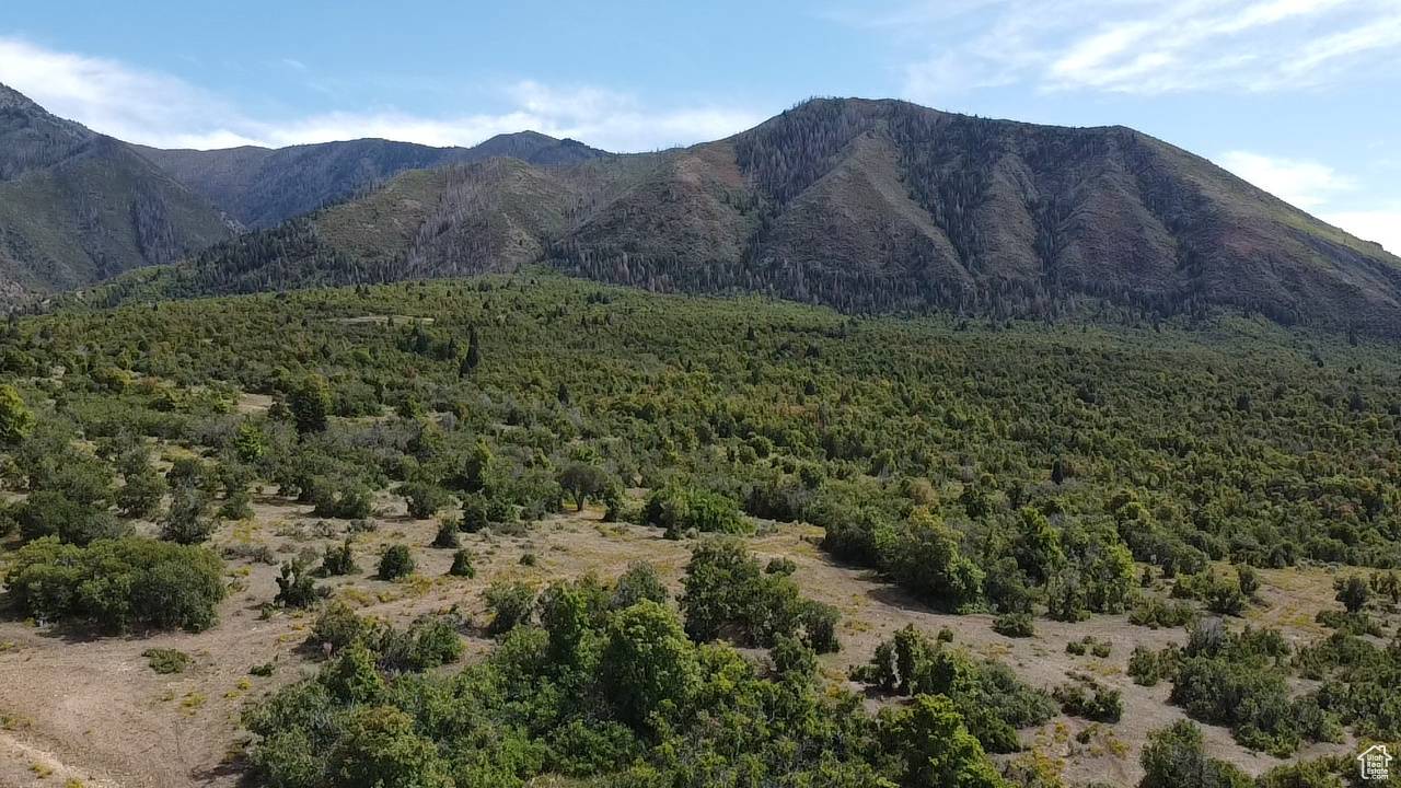 Elk Ridge, UT 84651,700 S HILLSIDE DR E