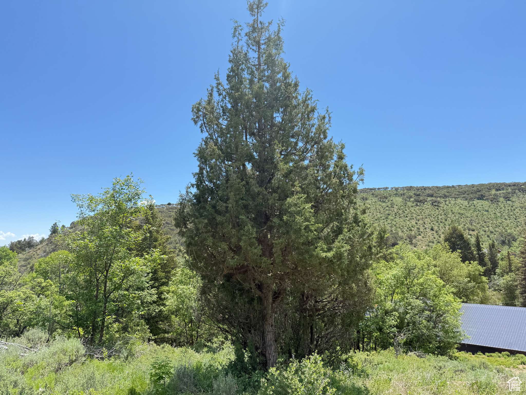 Garden City, UT 84028,1361 SWAN CREEK RD #5