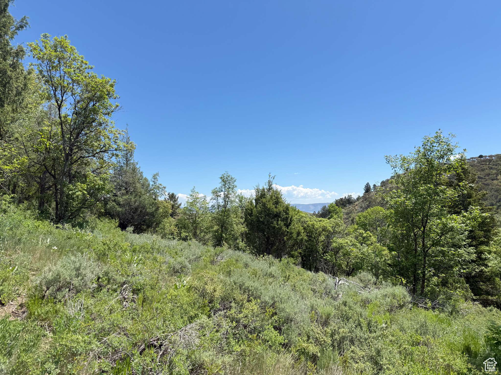 Garden City, UT 84028,1361 SWAN CREEK RD #5