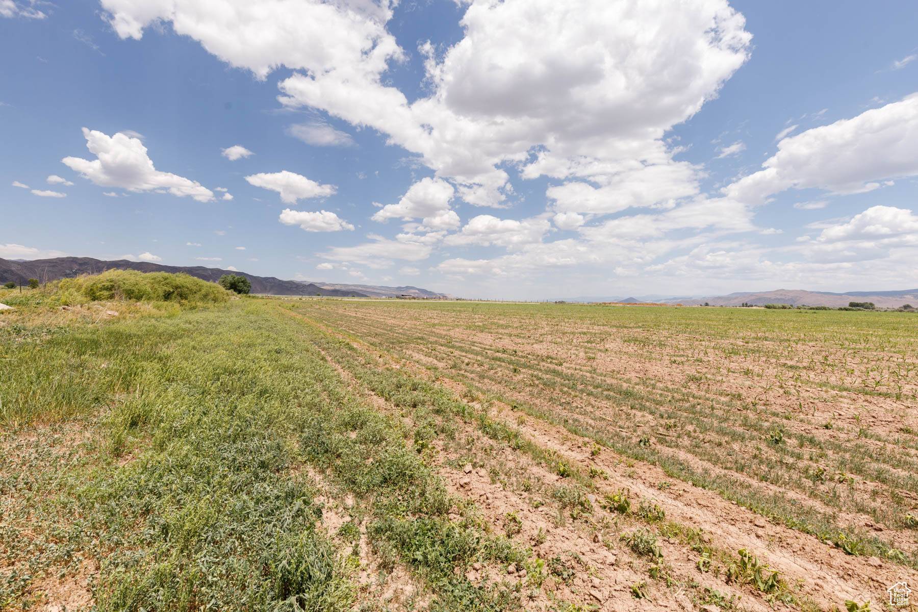 Elsinore, UT 84724