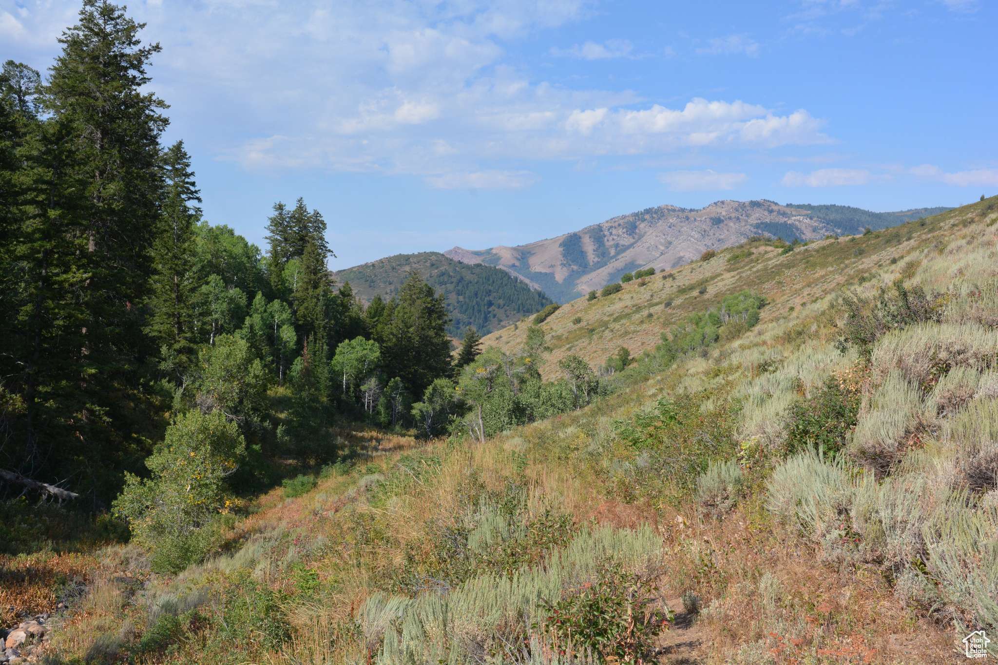 Huntsville, UT 84317,266 SUNRIDGE - TAX ID  230130266