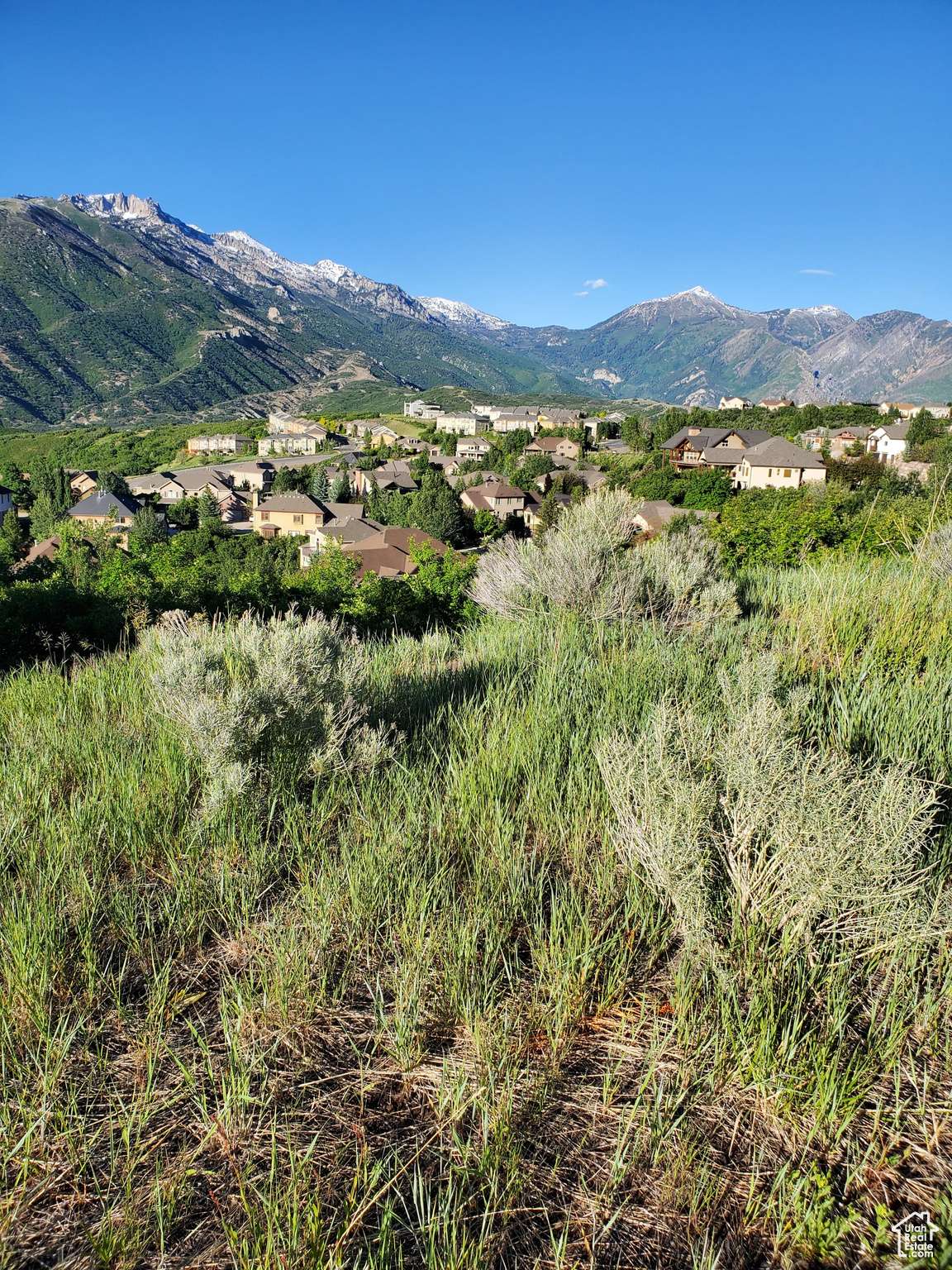 Draper, UT 84020,14849 S SADDLE LEAF CT