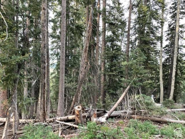 Beaver, UT 84713,#130