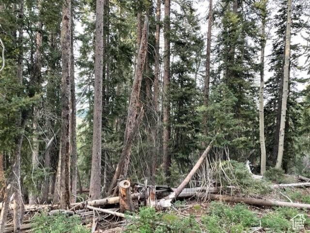 Beaver, UT 84713,#130