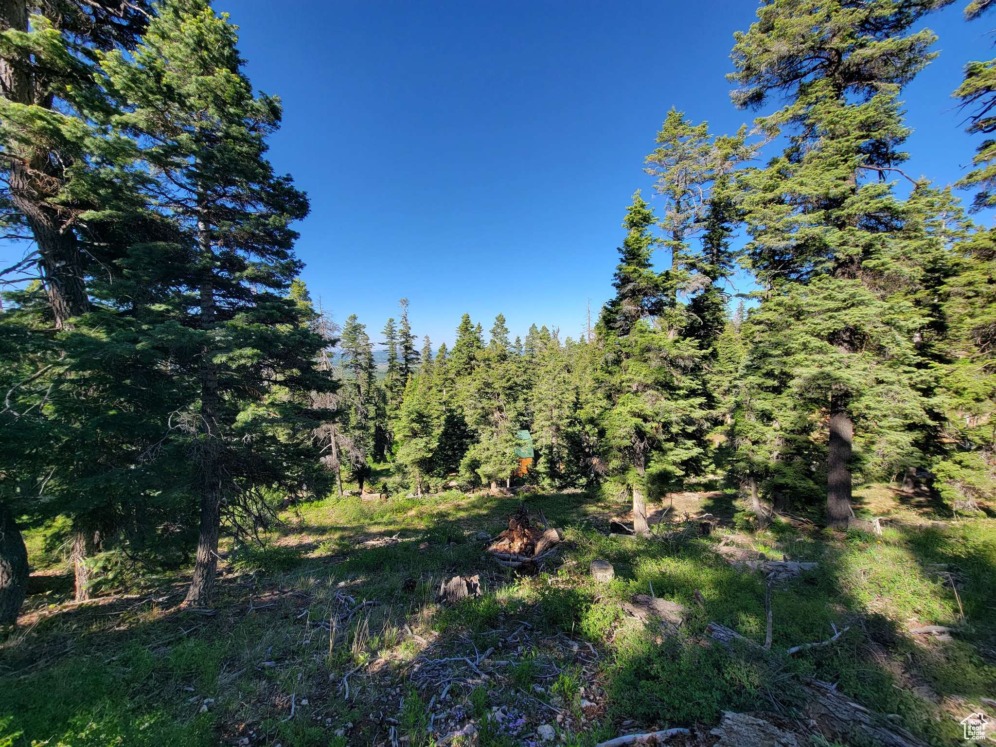 Duck Creek Village, UT 84762,6220 W BROOK LN