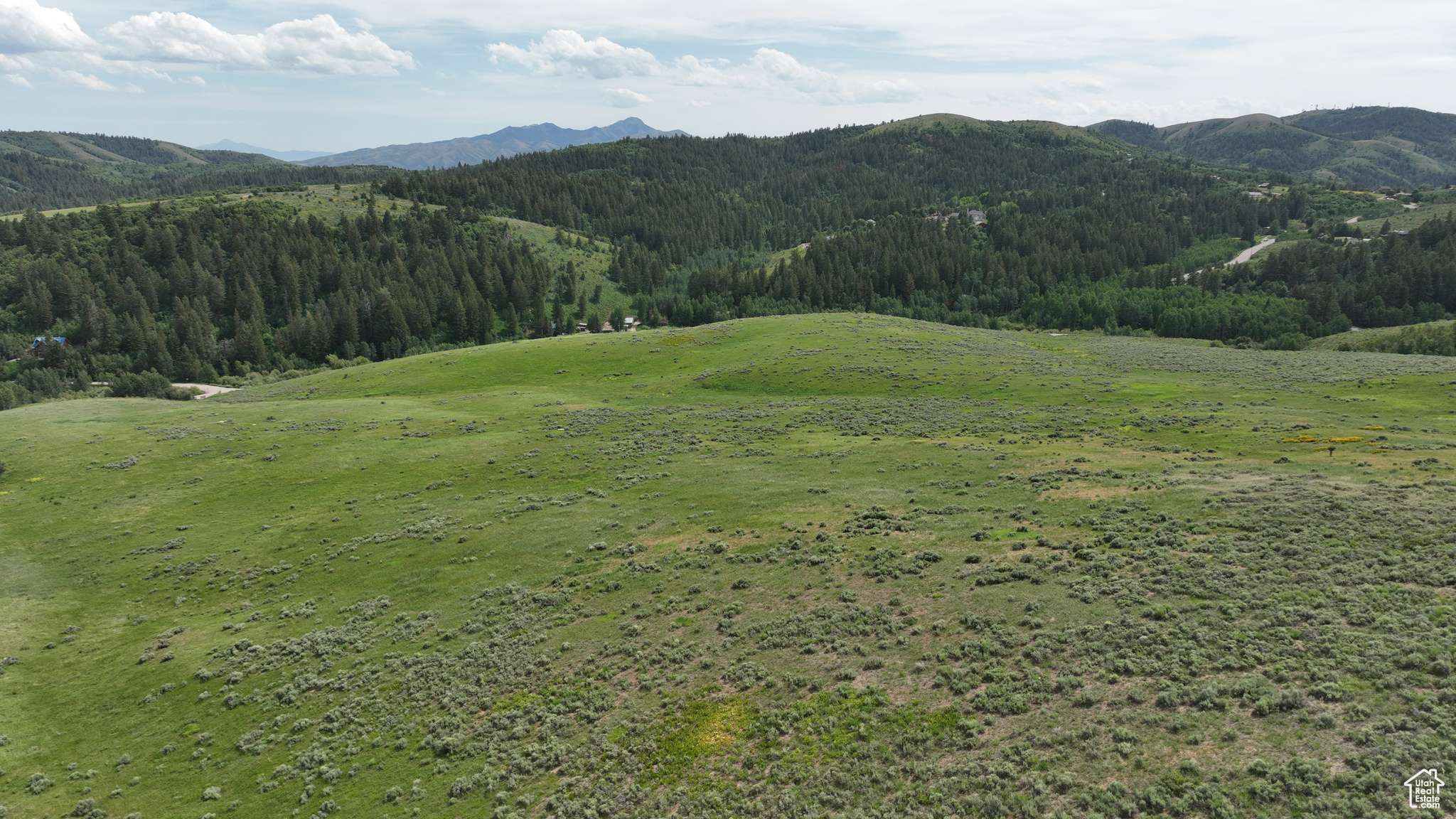 Pocatello, ID 83201