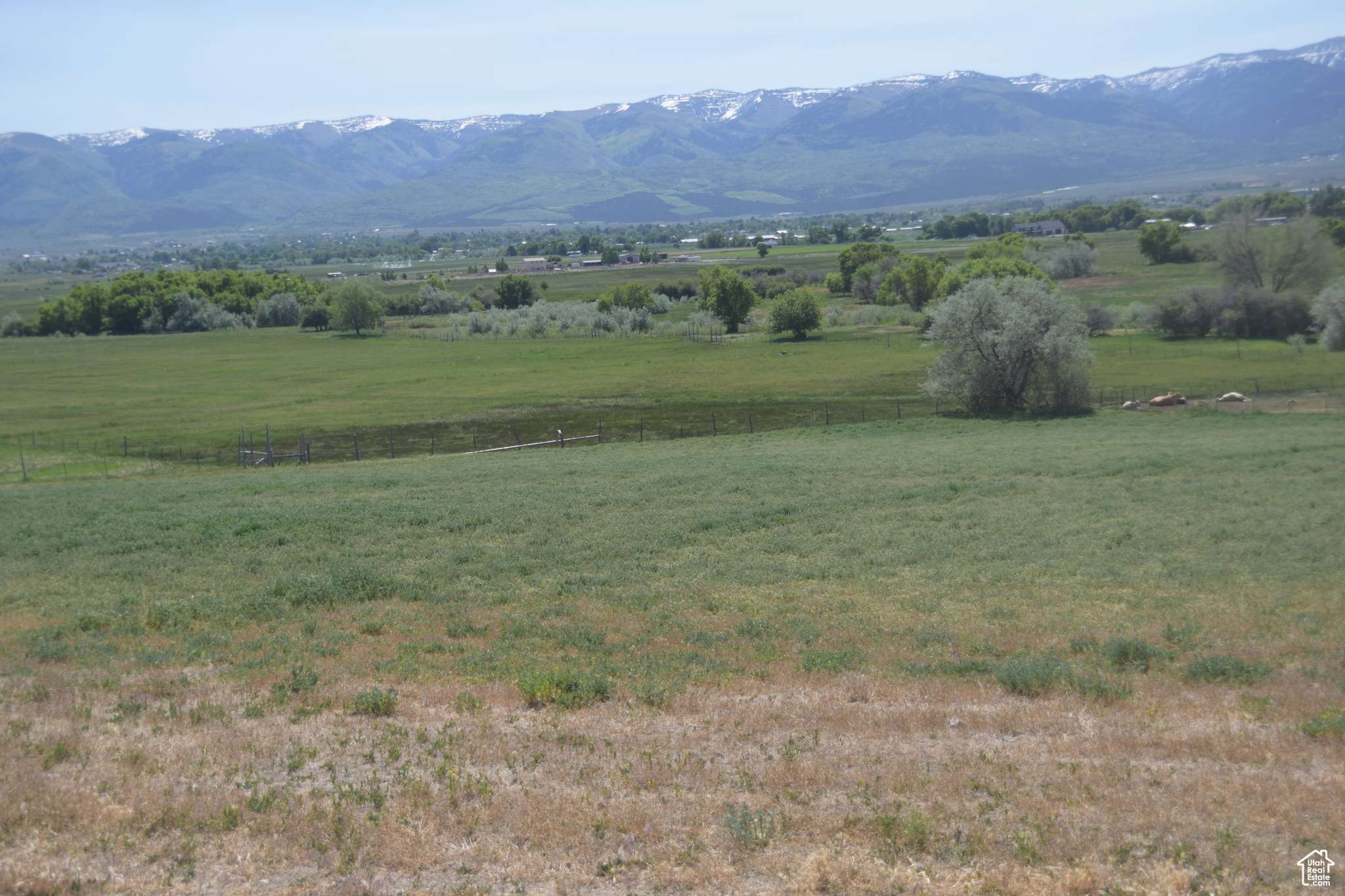 Mt Pleasant, UT 84647