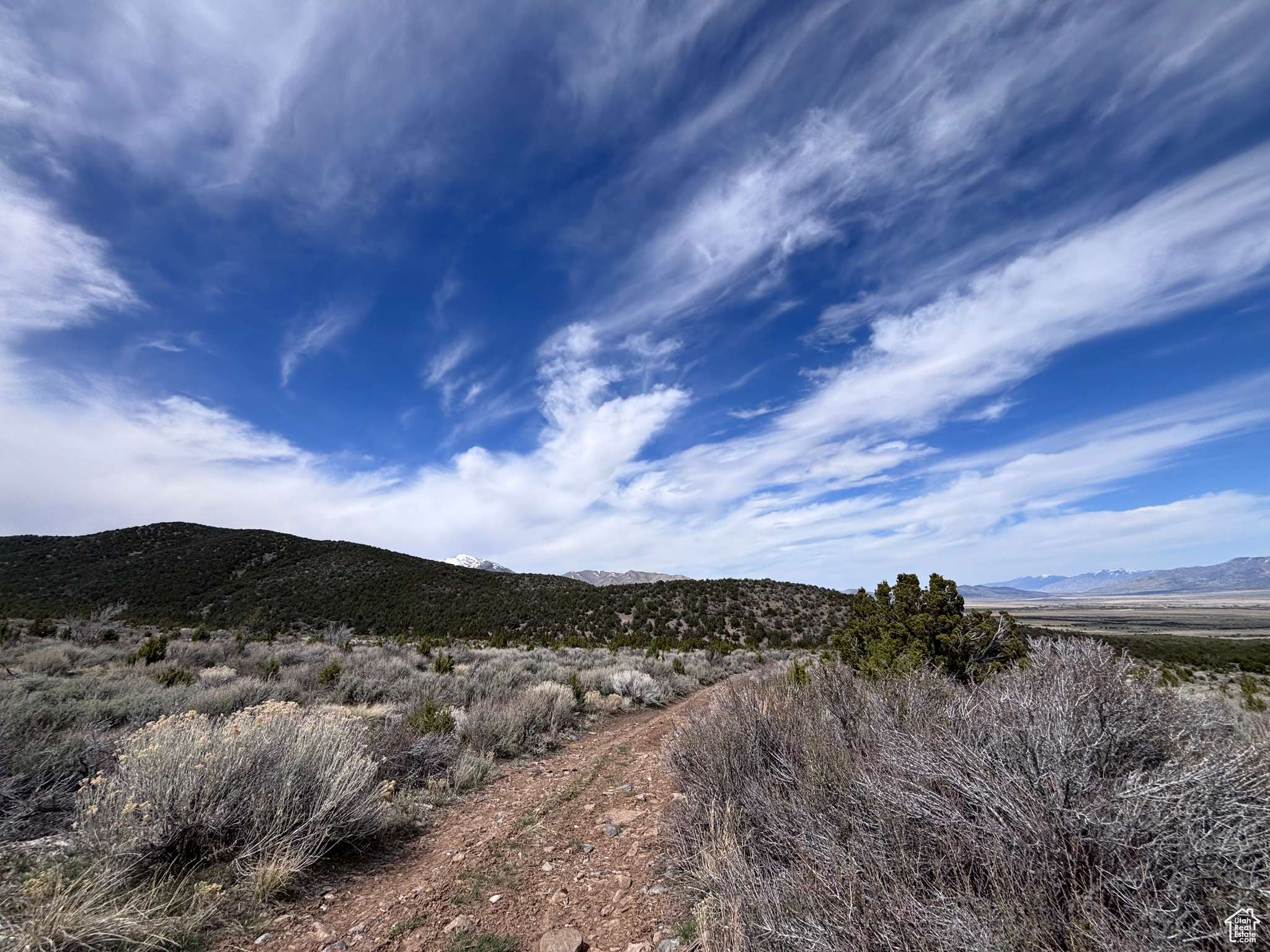 Rush Valley, UT 84069