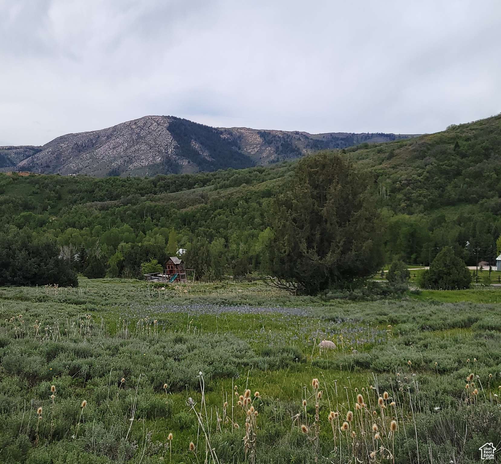 Huntsville, UT 84317,3103 PINE WAY #384