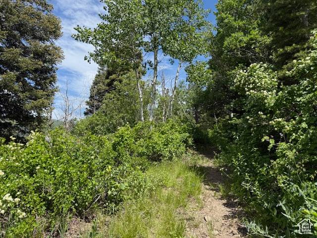 Salt Lake City, UT 84109,9625 E 2655 S #24