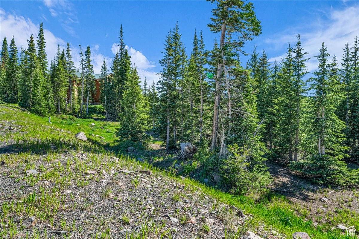 Brian Head, UT 84719,731 E AUTUMN DR