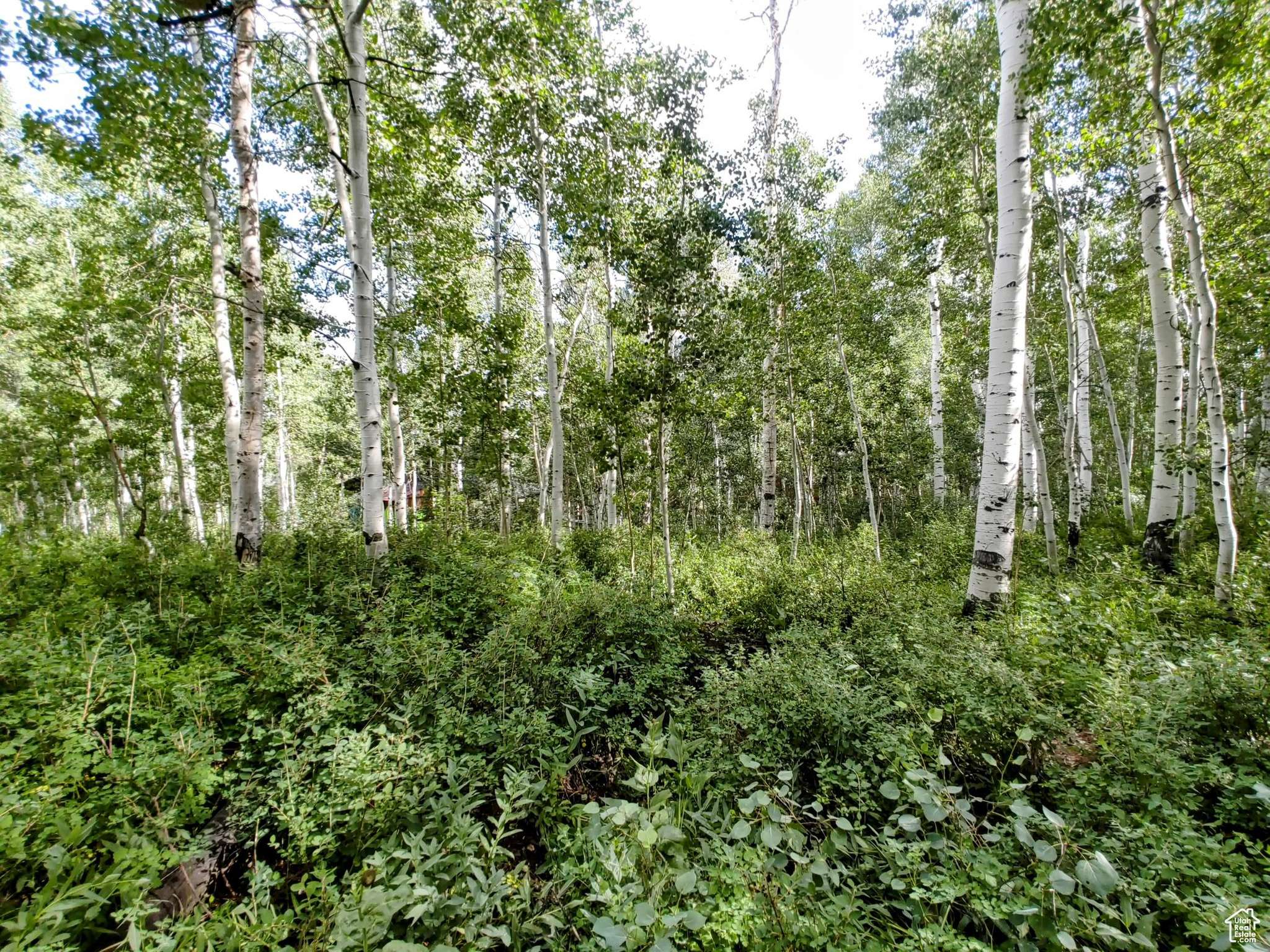 Heber City, UT 84032,11457 E MARIGOLD LN #1663