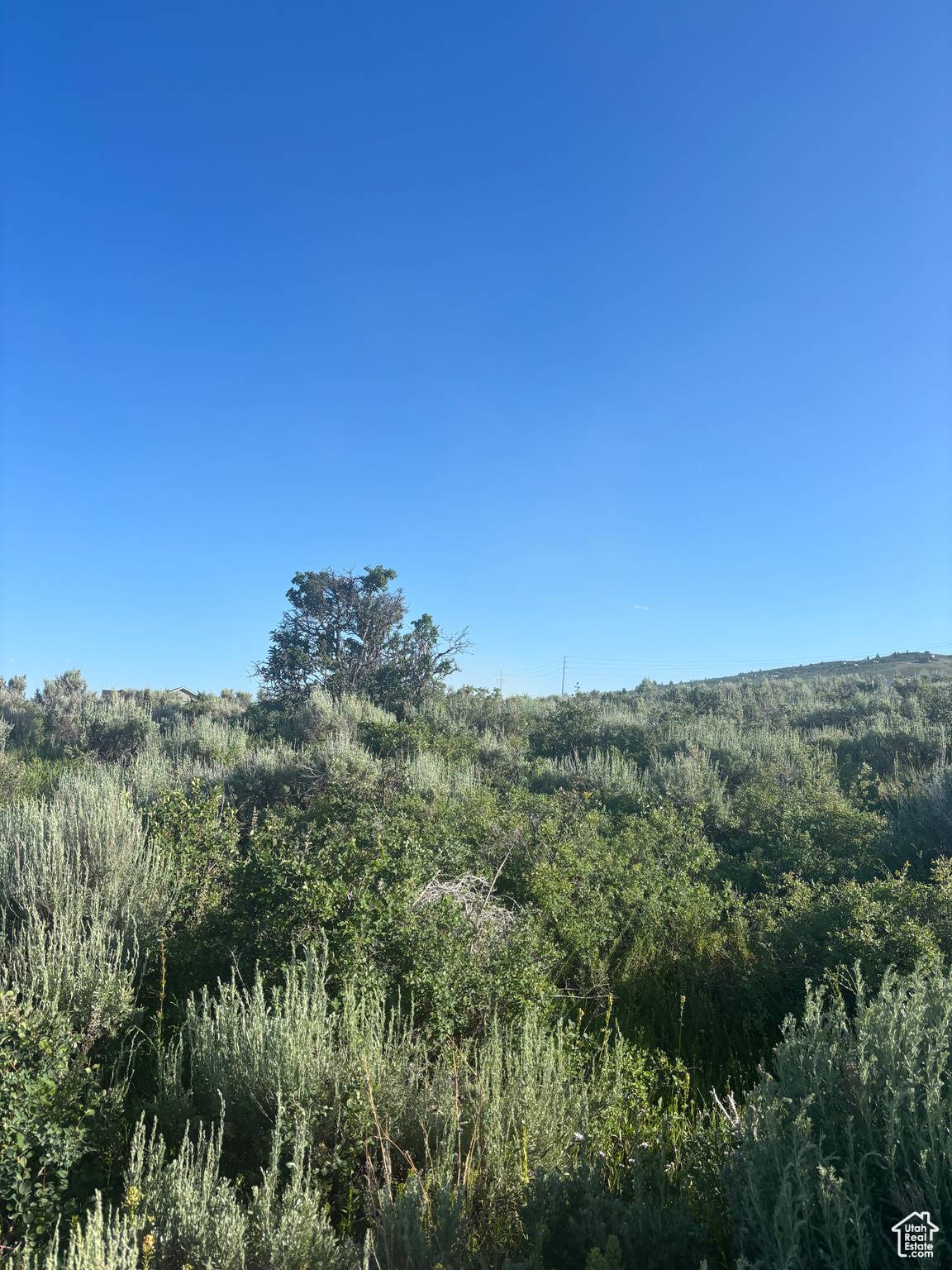 Garden City, UT 84028,476 W MOONLIGHT DR #51