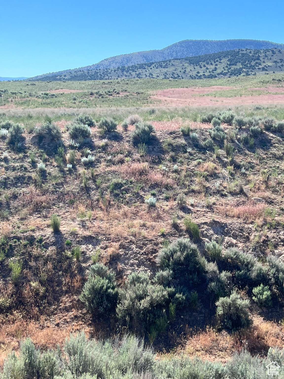 Levan, UT 84639