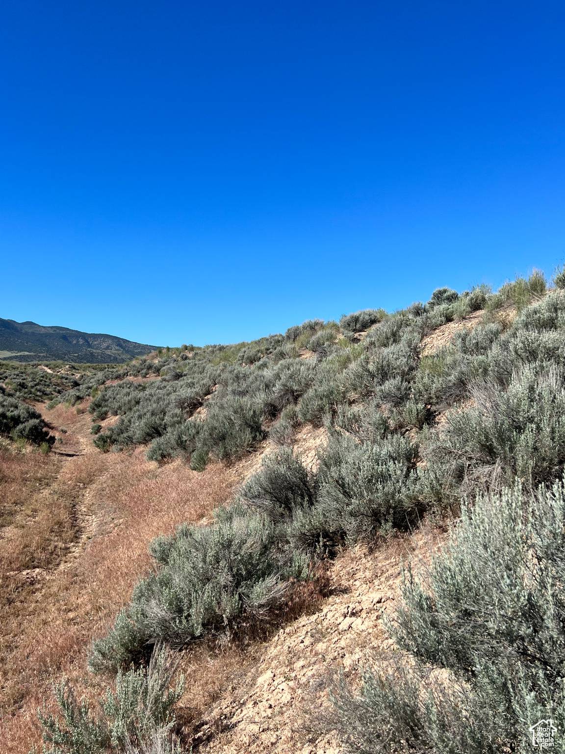 Levan, UT 84639