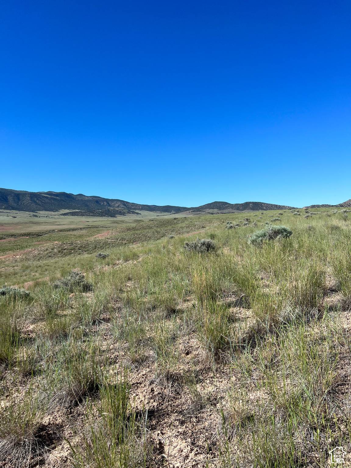Levan, UT 84639